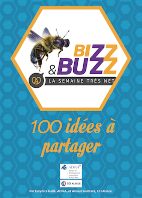 bizz buzz livre blanc 2